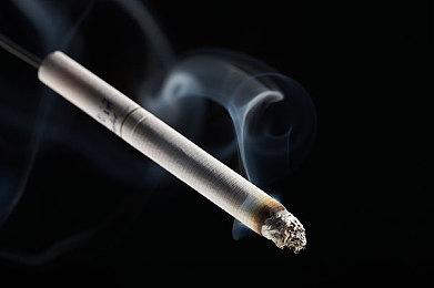 邂逅魔女，开启童话之旅！《魔女庭院》抢先体验版现已登陆steam平台！